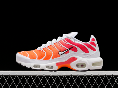 Nike Air Max TN 1